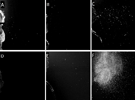 Saliva Droplets Emissions are Lower in Children Than in Adults During Babbling Speech and Coughing