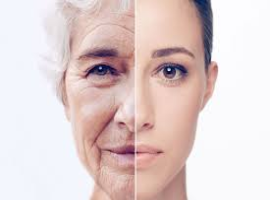 Psychological Problems of Human Aging
