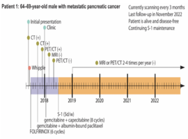 Maintenance Treatment of Metastatic Pancreatic and Bile Duct Cancers with S-1 Has Provided Prolonged Oncologic Control and Quality of Life: Case Series