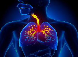 Journal of Pulmonary and Respiratory Case Reports