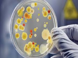 Journal of Biotechnology and Microbiology Case Reports