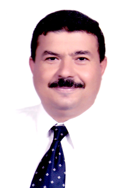 Prof. Mahmoud A Mansour